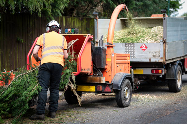 Best Hazardous Tree Removal  in Owenton, KY