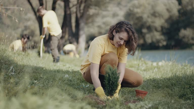 Best Organic Lawn Care Solutions  in Owenton, KY