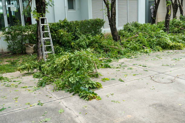 Best Tree Preservation Services  in Owenton, KY