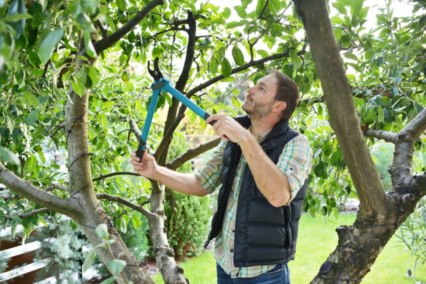 Best Arborist Consultation Services  in Owenton, KY